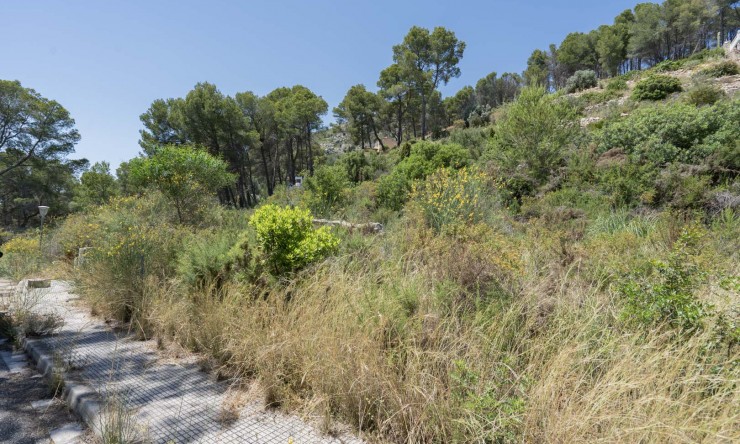 Nieuwbouw Woningen - Villa -
Alcalalí - La Solana Gardens