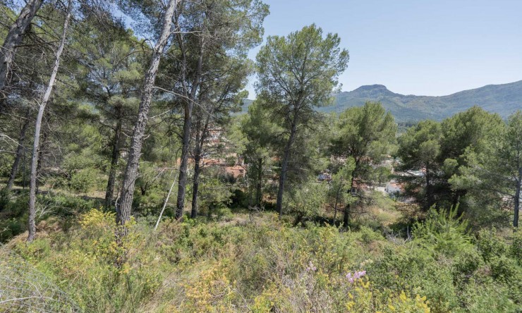 Nieuwbouw Woningen - Villa -
Alcalalí - La Solana Gardens