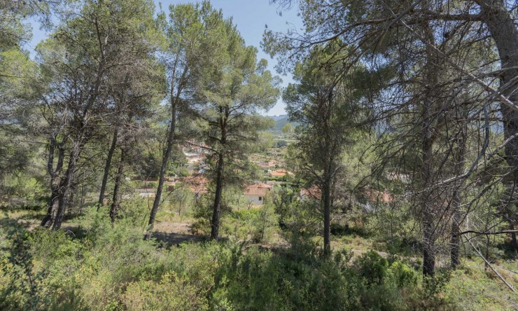 Nieuwbouw Woningen - Villa -
Alcalalí - La Solana Gardens