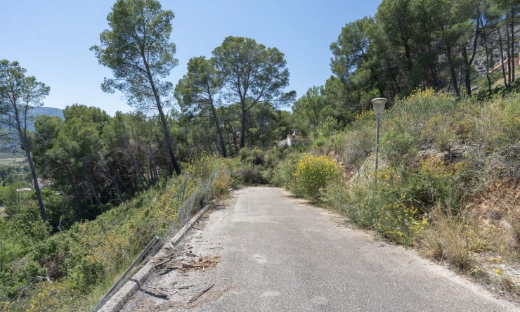 Nieuwbouw Woningen - Villa -
Alcalalí - La Solana Gardens
