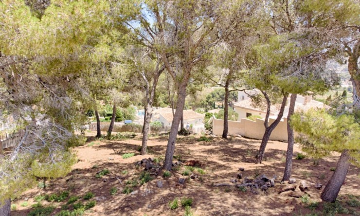 Reventa - Parcela -
Moraira