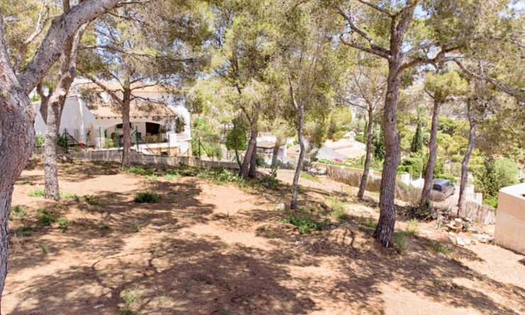 Reventa - Parcela -
Moraira