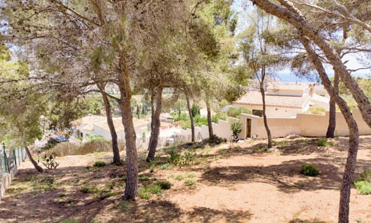 Reventa - Parcela -
Moraira