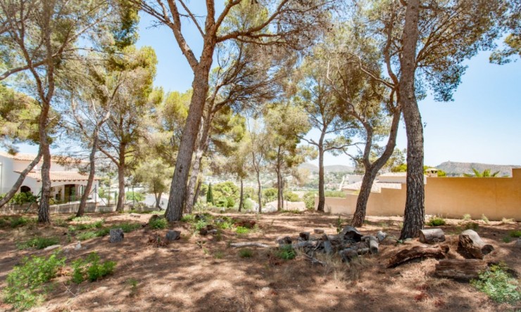 Reventa - Parcela -
Moraira