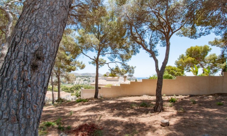 Reventa - Parcela -
Moraira