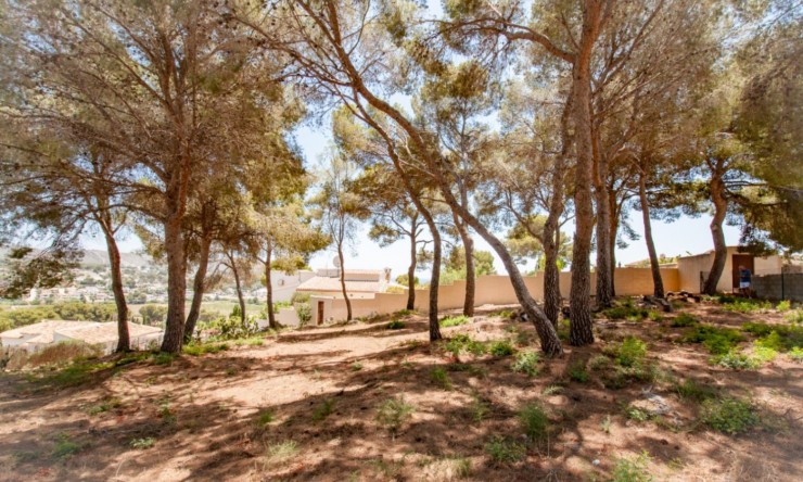 Reventa - Parcela -
Moraira