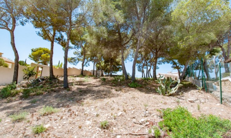 Reventa - Parcela -
Moraira