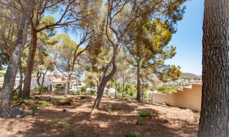 Reventa - Parcela -
Moraira