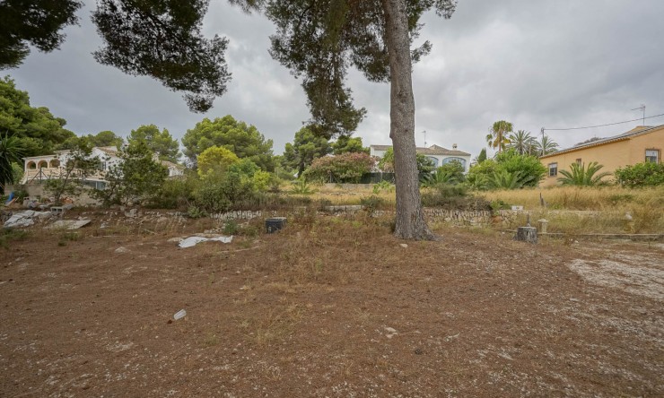 Revente -  -
Jávea - Adsubia