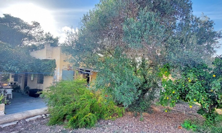 Resale - Villa -
Benidorm