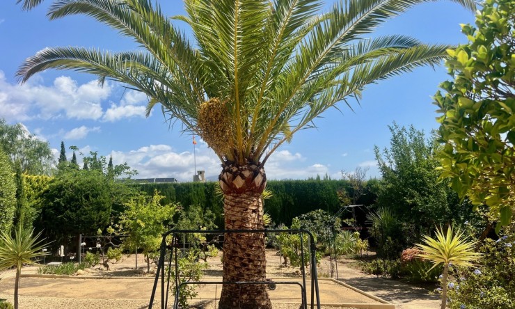Resale - Villa -
Alfas del Pí