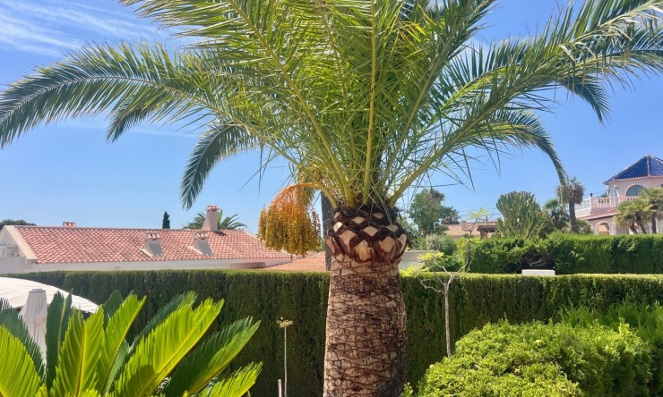 Resale - Villa -
Alfas del Pí