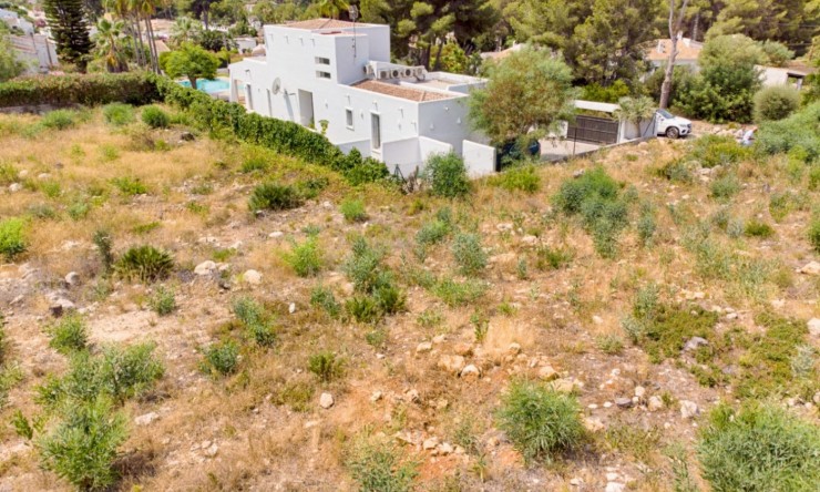 Revente - Tracé -
Jávea
