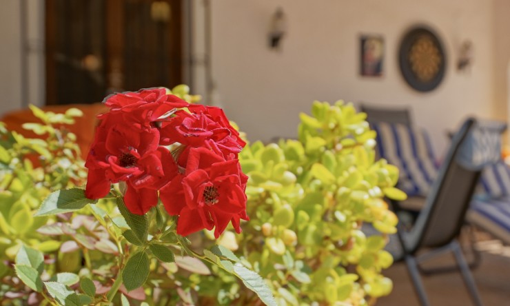 Revente - Villa -
Jávea - Sol de l’est