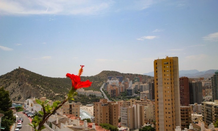 Reventa - Apartamento -
Benidorm