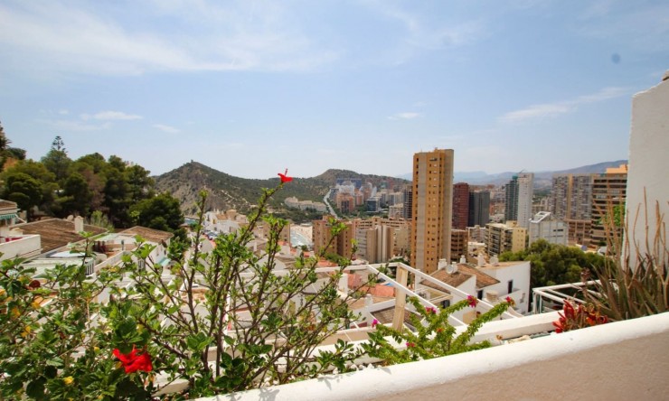 Reventa - Apartamento -
Benidorm