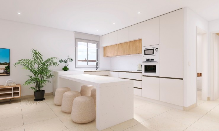 New Build - Villa -
Bigastro