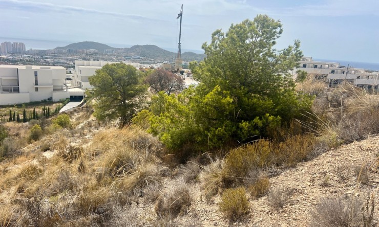 Revente - Tracé -
Finestrat