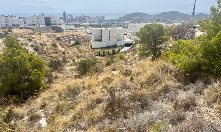 Revente - Tracé -
Finestrat