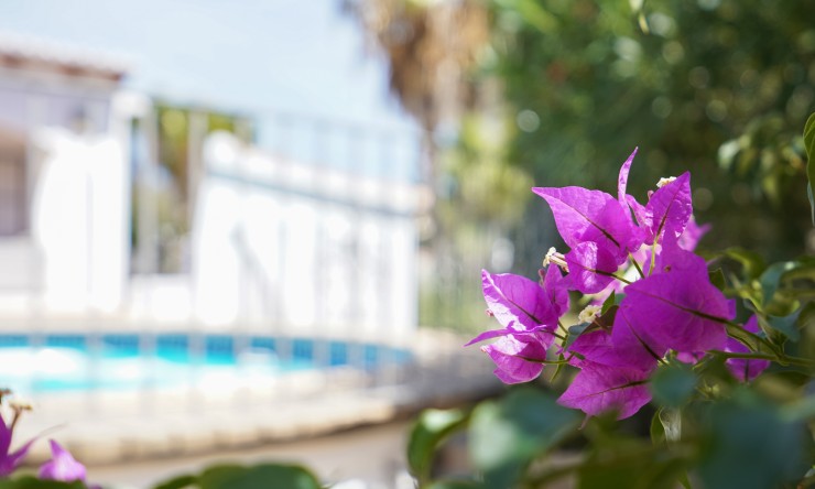 Reventa - Villa -
Jávea