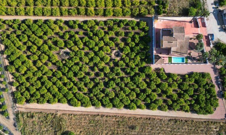 Rynek Wtórny - Finca -
Orihuela