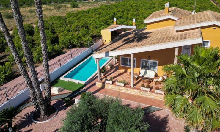 Rynek Wtórny - Finca -
Orihuela