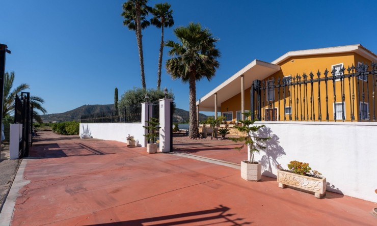 Rynek Wtórny - Finca -
Orihuela