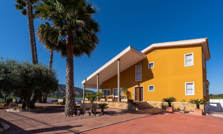 Rynek Wtórny - Finca -
Orihuela