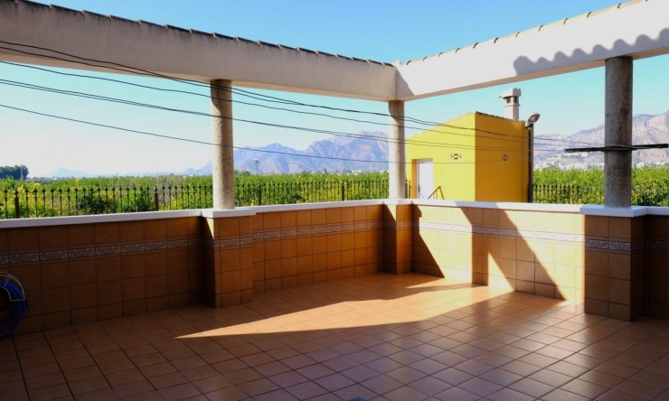 Rynek Wtórny - Finca -
Orihuela