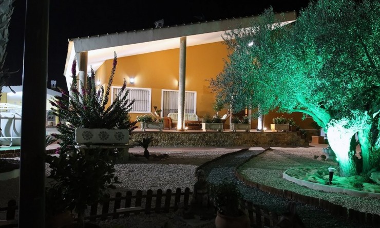 Rynek Wtórny - Finca -
Orihuela