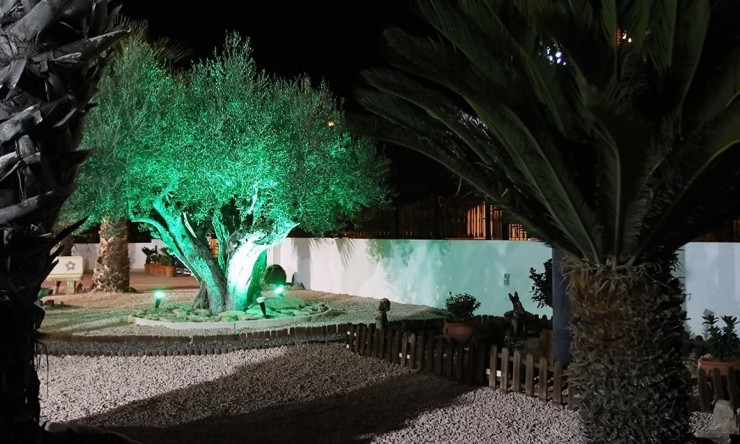 Rynek Wtórny - Finca -
Orihuela