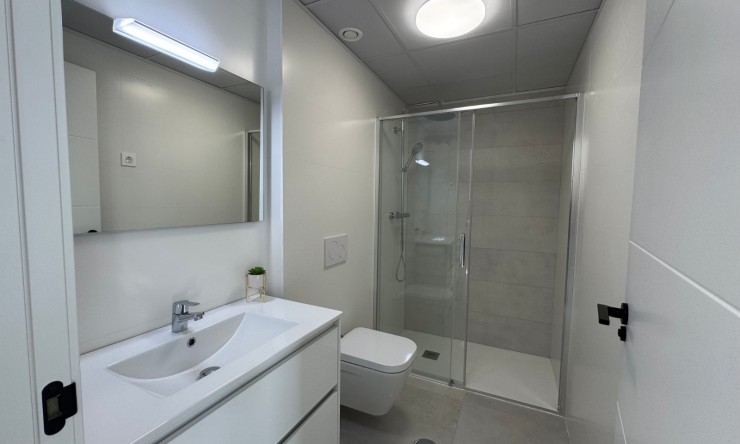 Nowe budownictwo - Willa -
Roldán