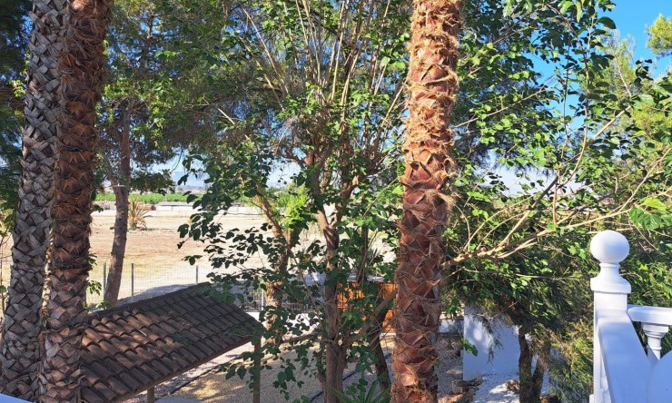 Wiederverkauf - Finca -
Orihuela