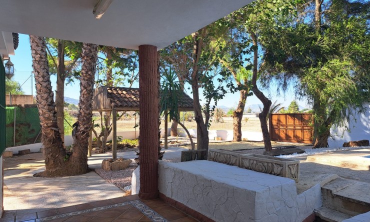 Wiederverkauf - Finca -
Orihuela