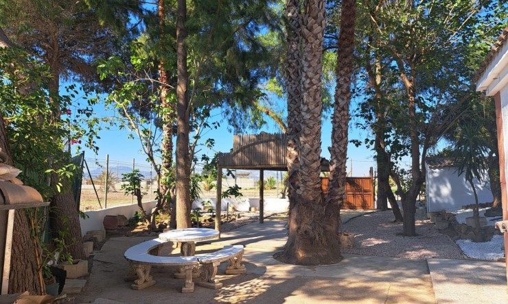 Wiederverkauf - Finca -
Orihuela