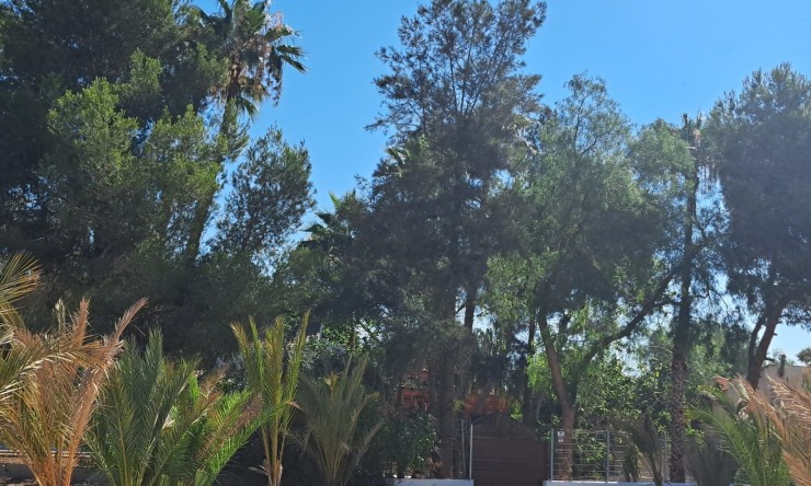 Wiederverkauf - Finca -
Orihuela