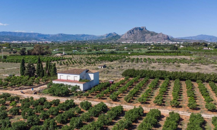 Revente - Villa -
Denia