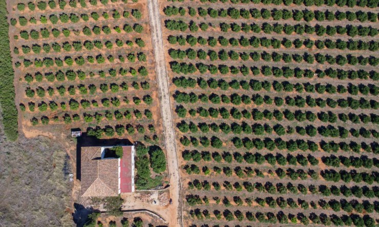 Revente - Villa -
Denia