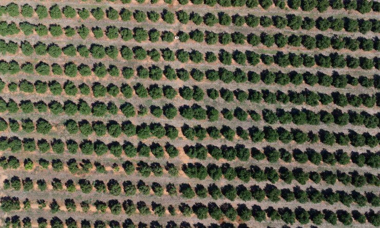 Revente - Villa -
Denia