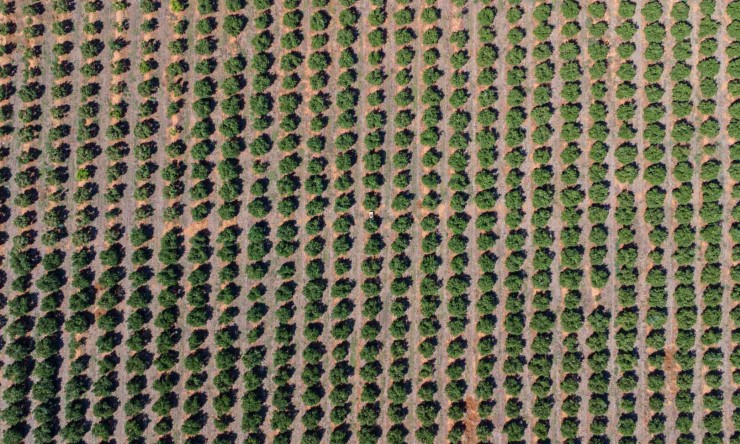 Revente - Villa -
Denia