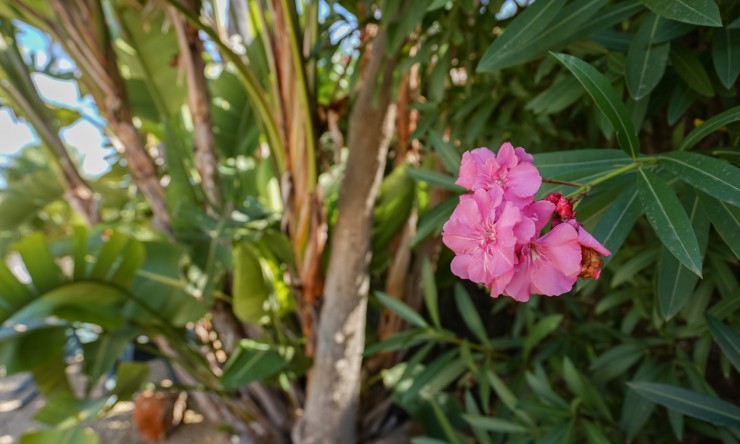 Herverkoop - Villa -
Jávea - Costa Nova