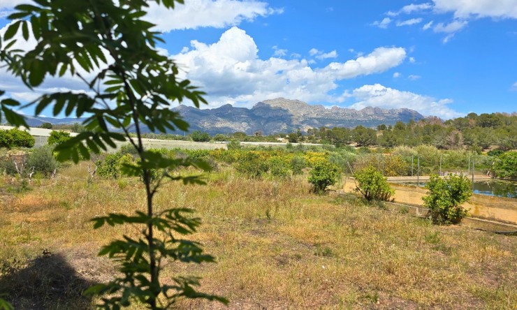 Rynek Wtórny - Działka -
La Nucía