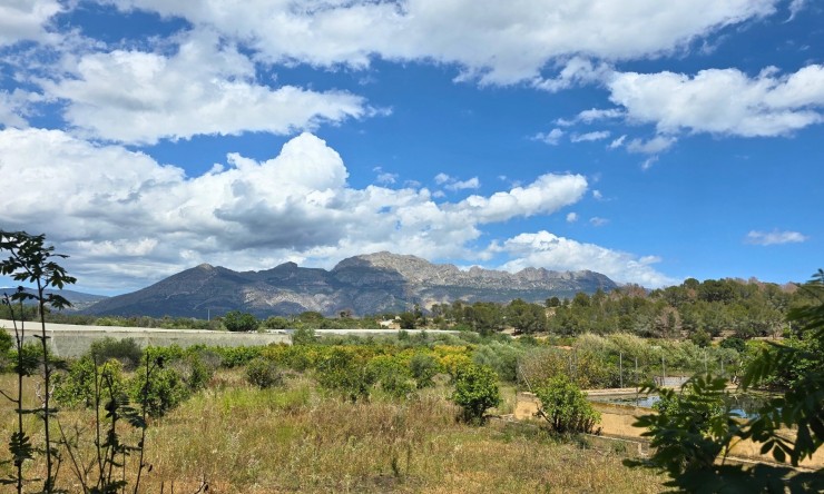 Rynek Wtórny - Działka -
La Nucía