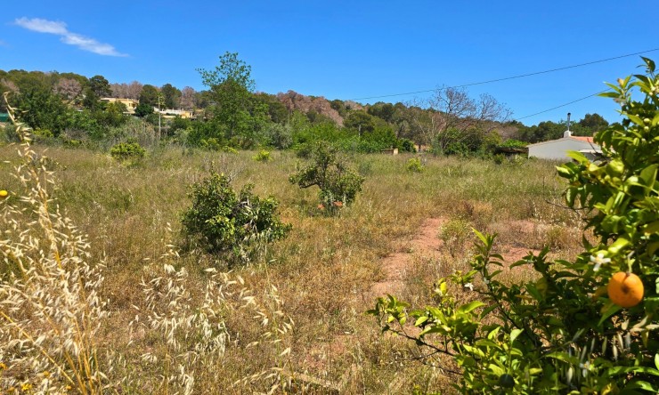 Rynek Wtórny - Działka -
La Nucía