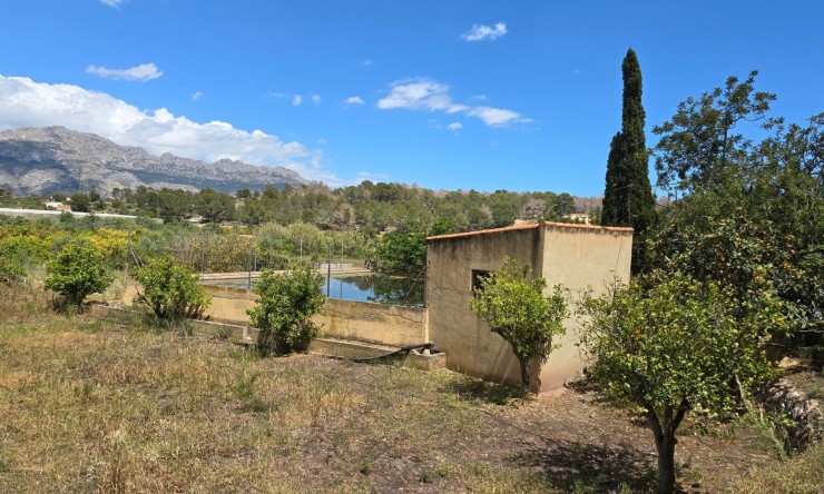Rynek Wtórny - Działka -
La Nucía