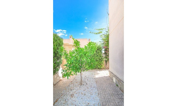 Rynek Wtórny - Willa -
Polop