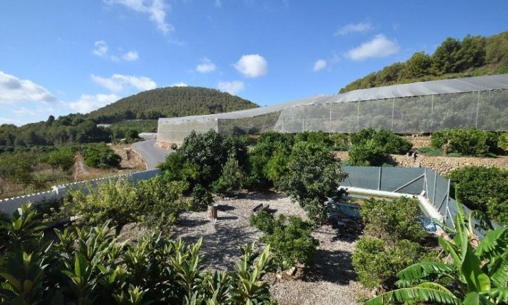 Wiederverkauf - Villa -
Callosa De Ensarrià