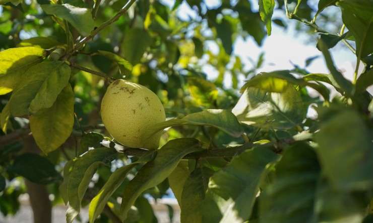 Herverkoop - Villa -
Benissa - La Fustera