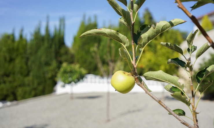 Herverkoop - Villa -
Benissa - La Fustera