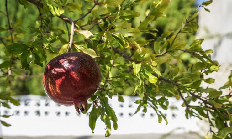 Herverkoop - Villa -
Benissa - La Fustera